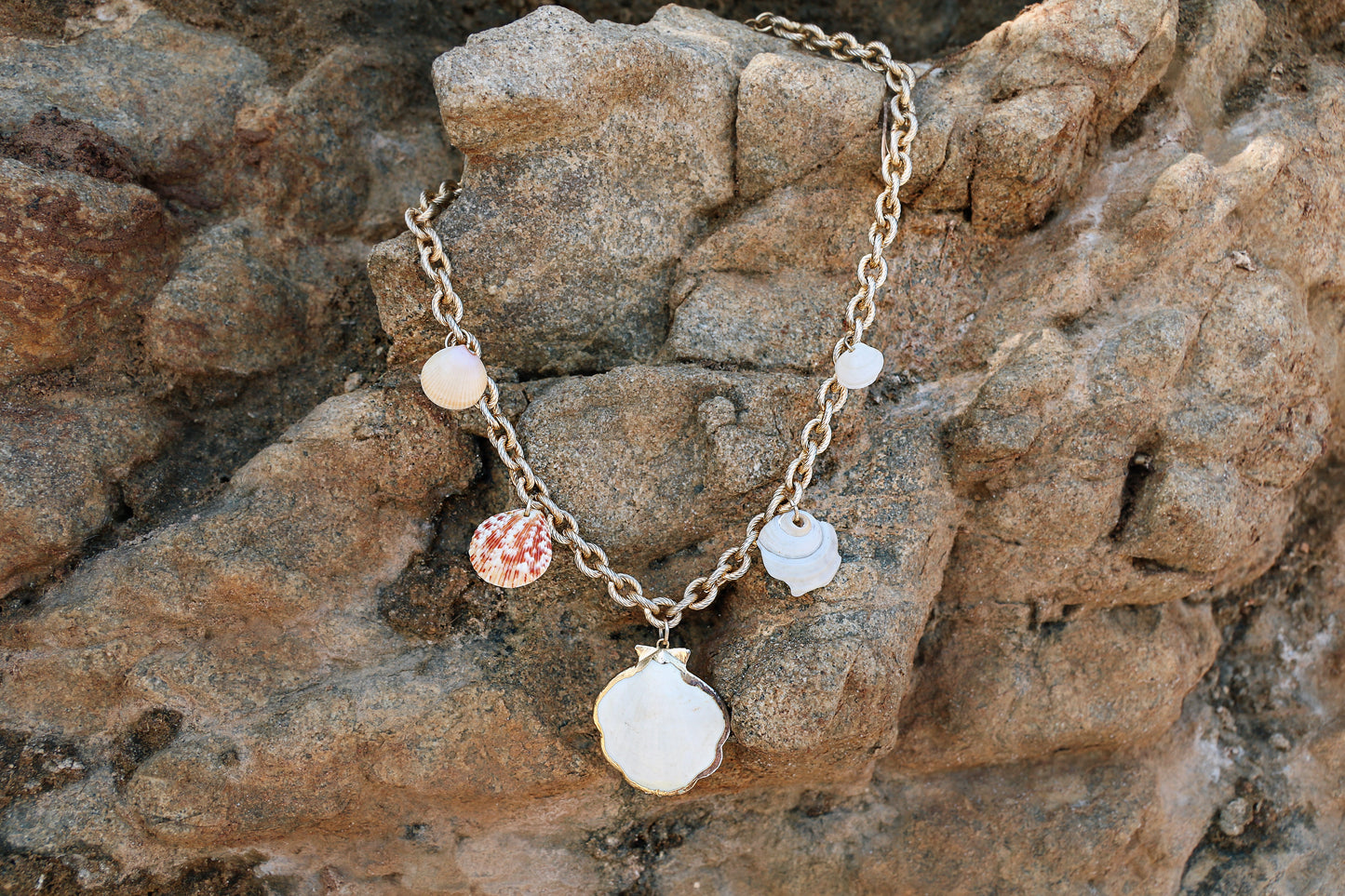 shells from Jupiter Beach necklace