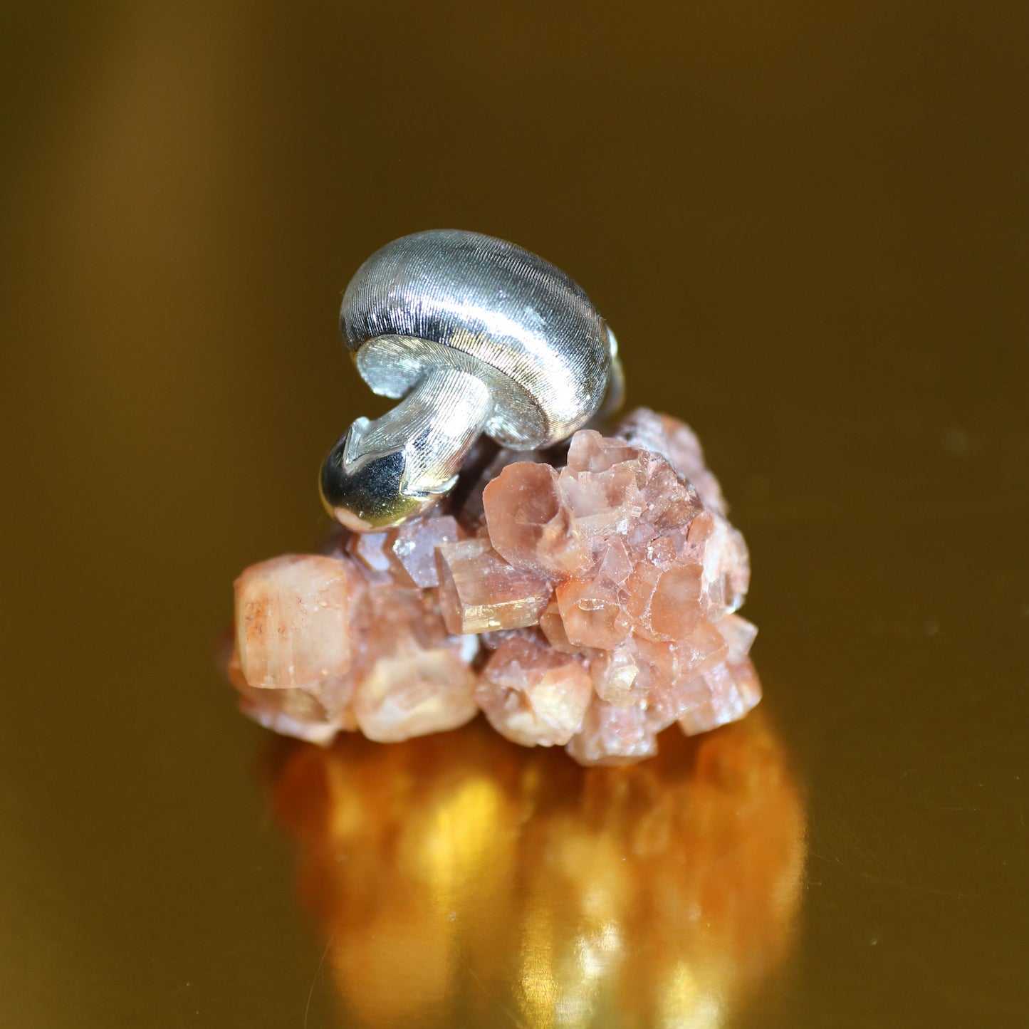 Fun Guy Ring