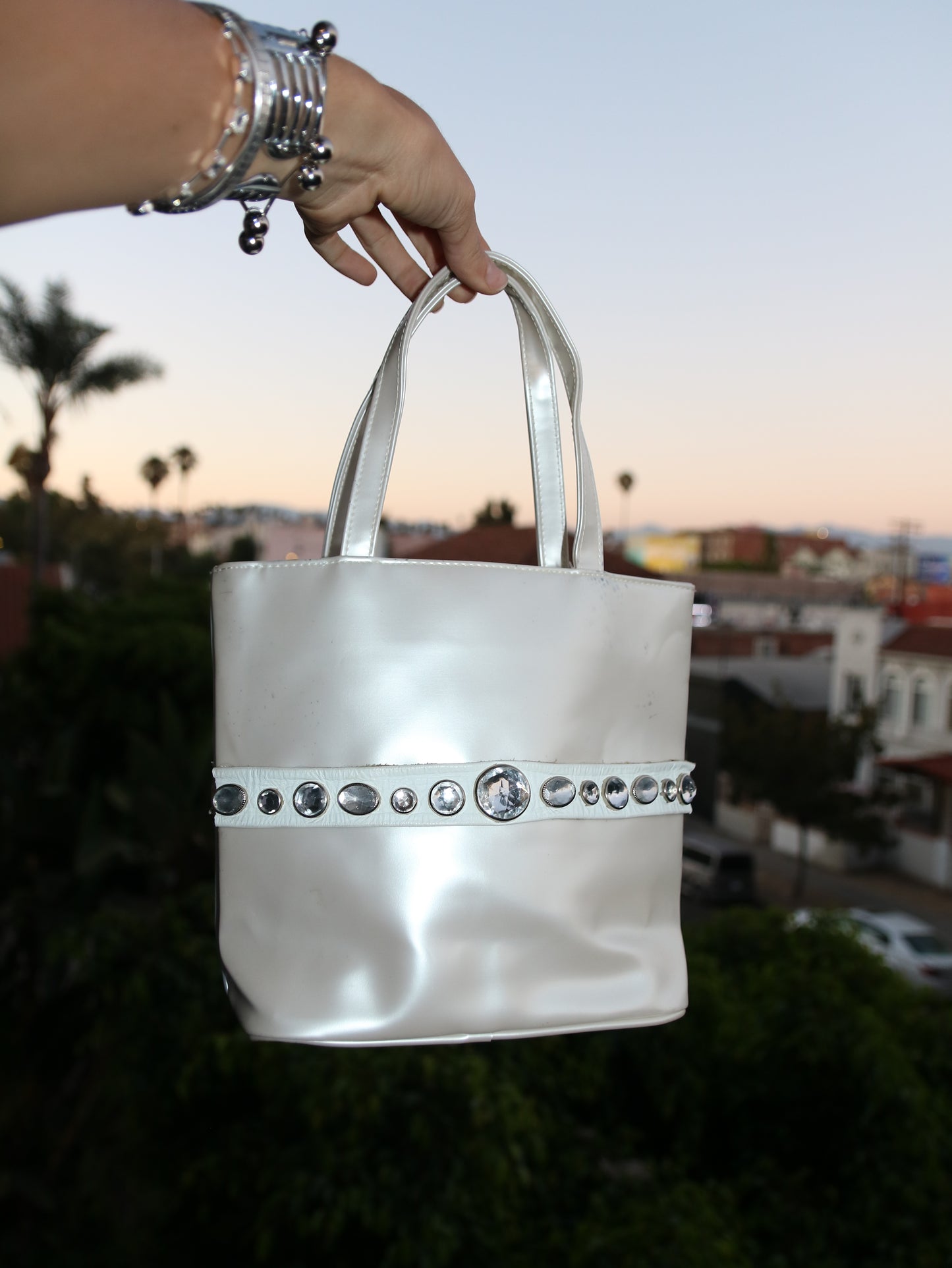Stephanie Purse