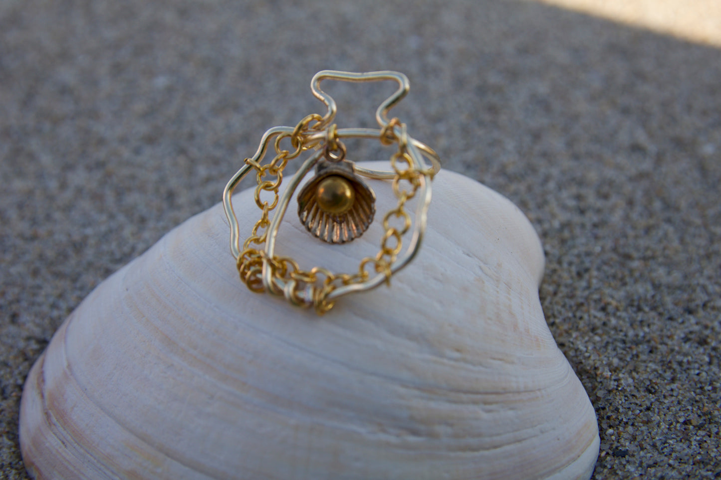 conch in a conch ring