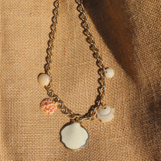 shells from Jupiter Beach necklace